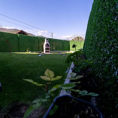 катлея היסריה