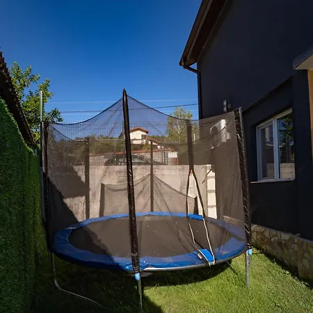 катлея היסריה