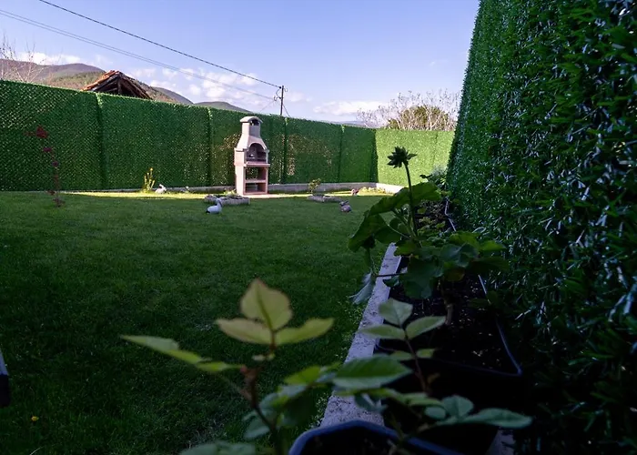 катлея Hisarya