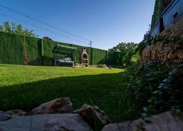 катлея * Hisarya